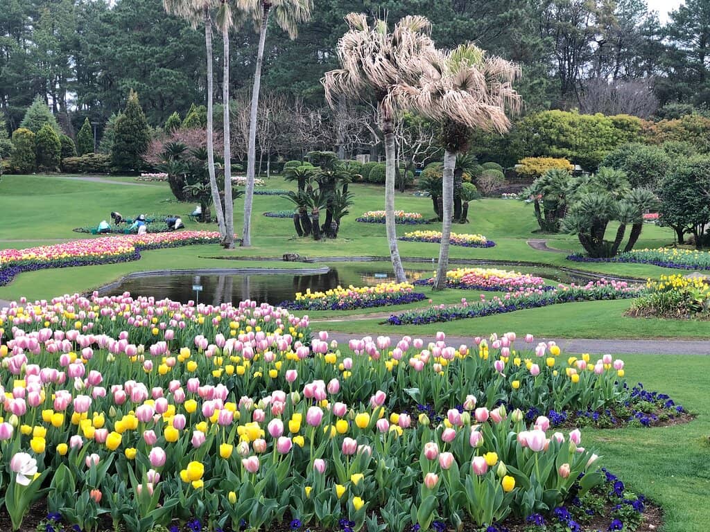 Miyazaki Food & Lantern Night Festival