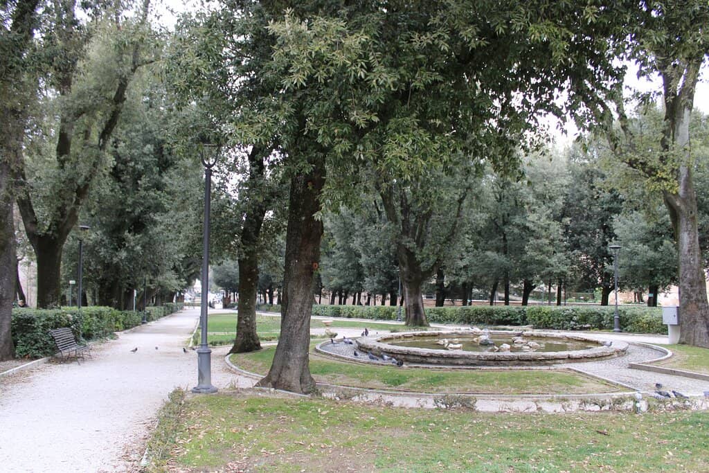 Fountain and Greenery