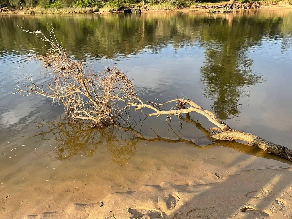 All Ages All Abilities Playground