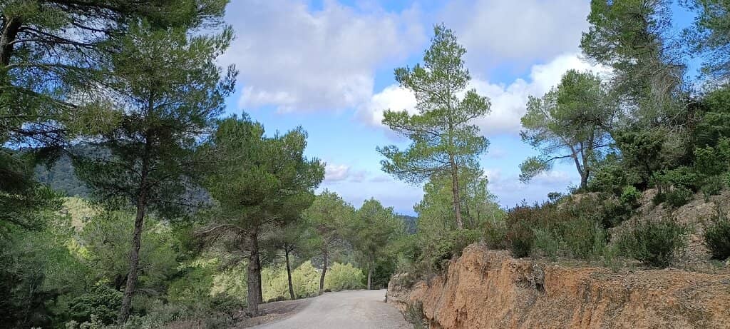 Scenic Uphill Walk