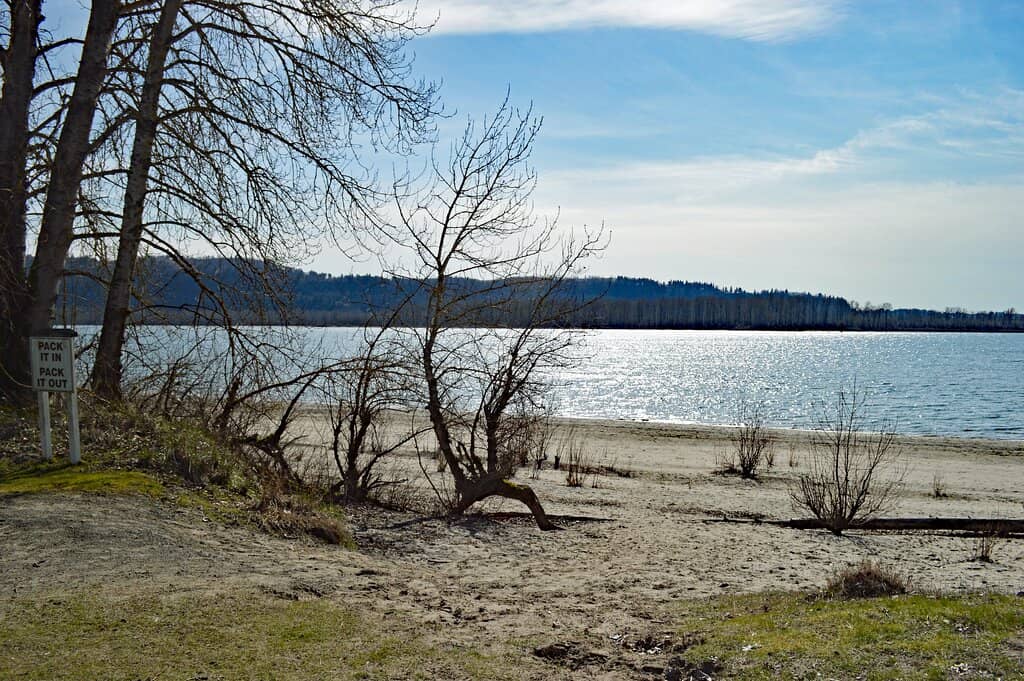 Toddler-Friendly Waters