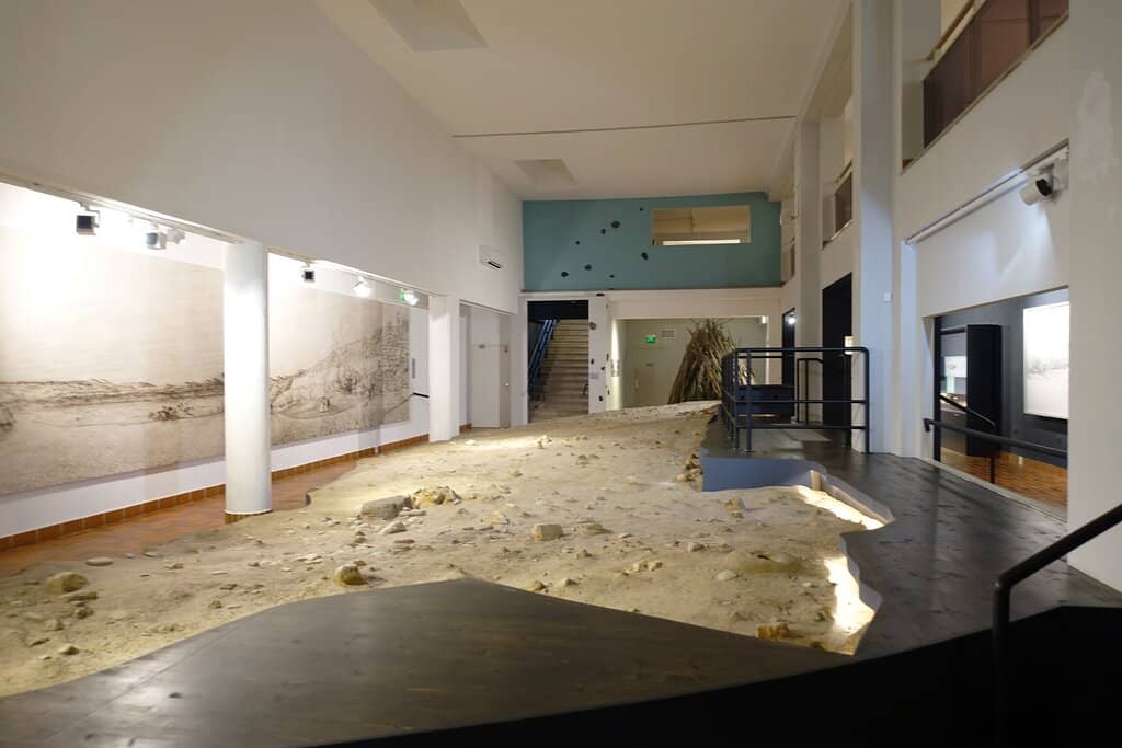 Discovery Trail for Kids