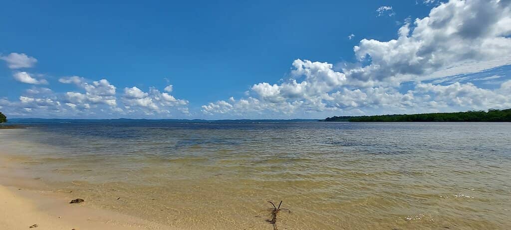 Abundant Marine Life