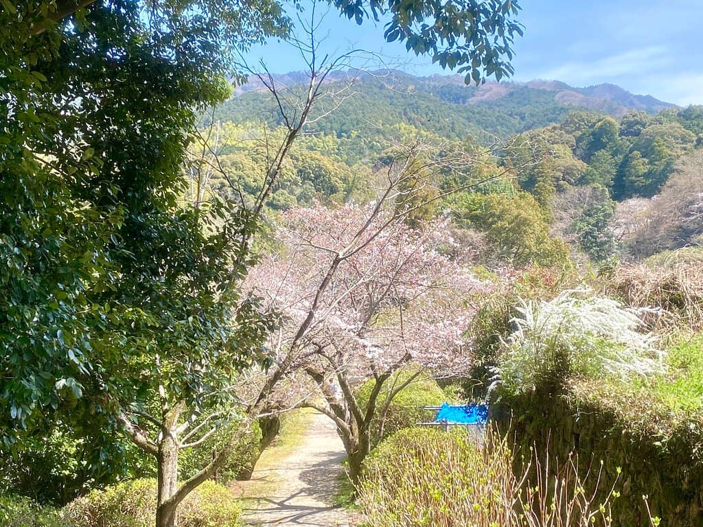 Scenic Lake Setting