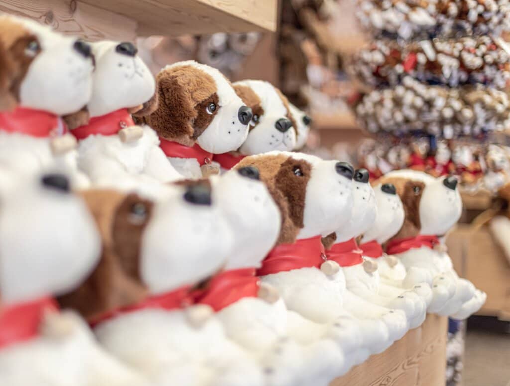 Puppy Viewing Area