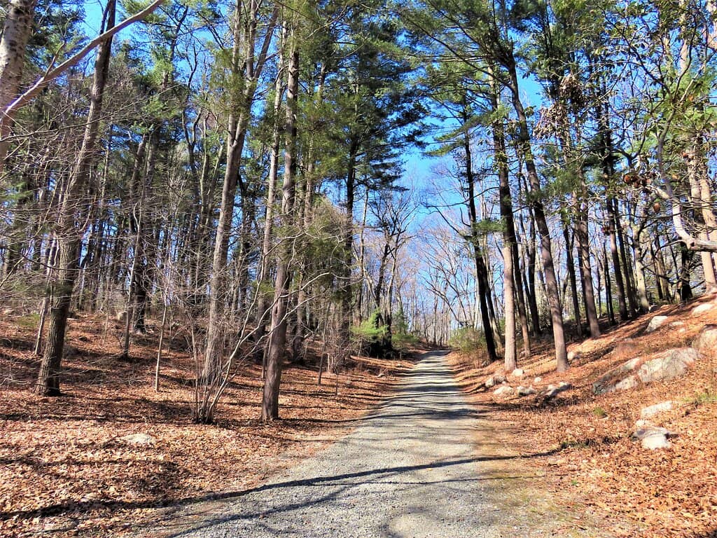 Labeled Tree Species