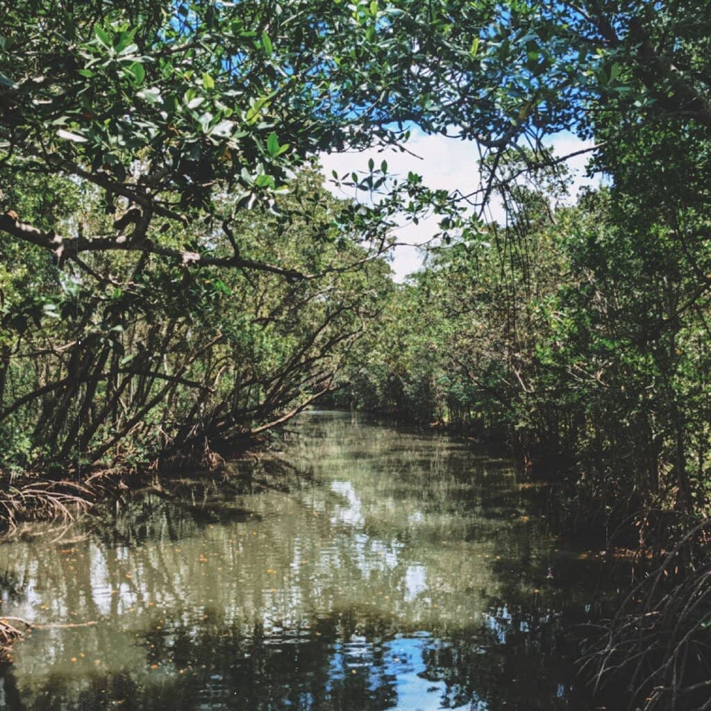Nature Trails & Greenery