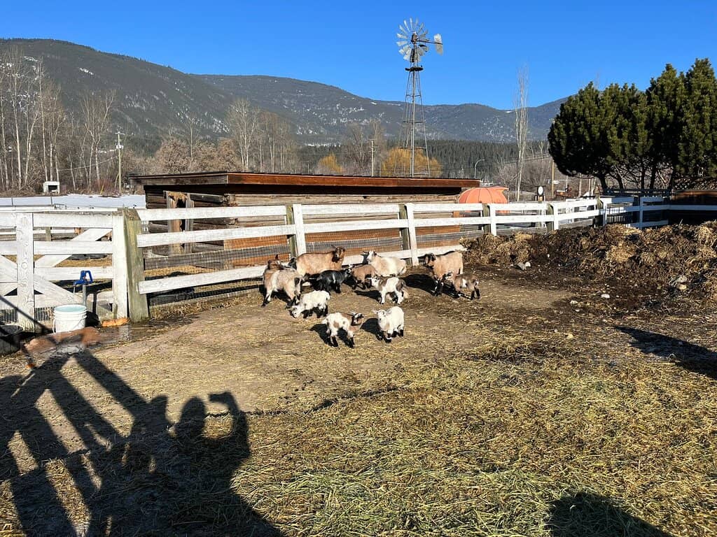 Artisan Goods & Local Delights