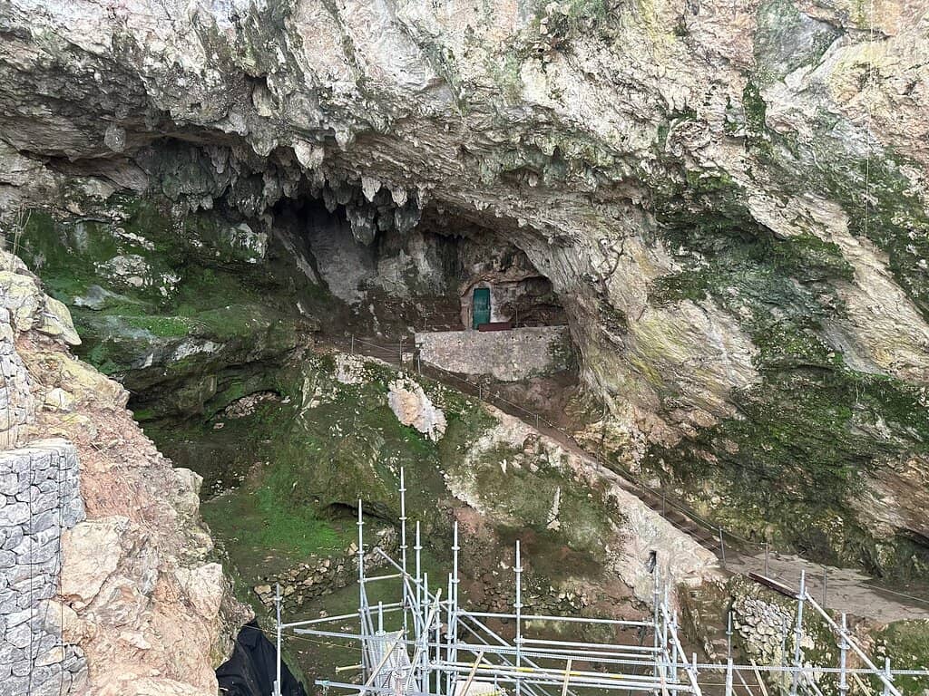 Vertical photo
