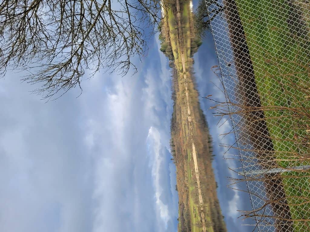 Dauner Maare Trails