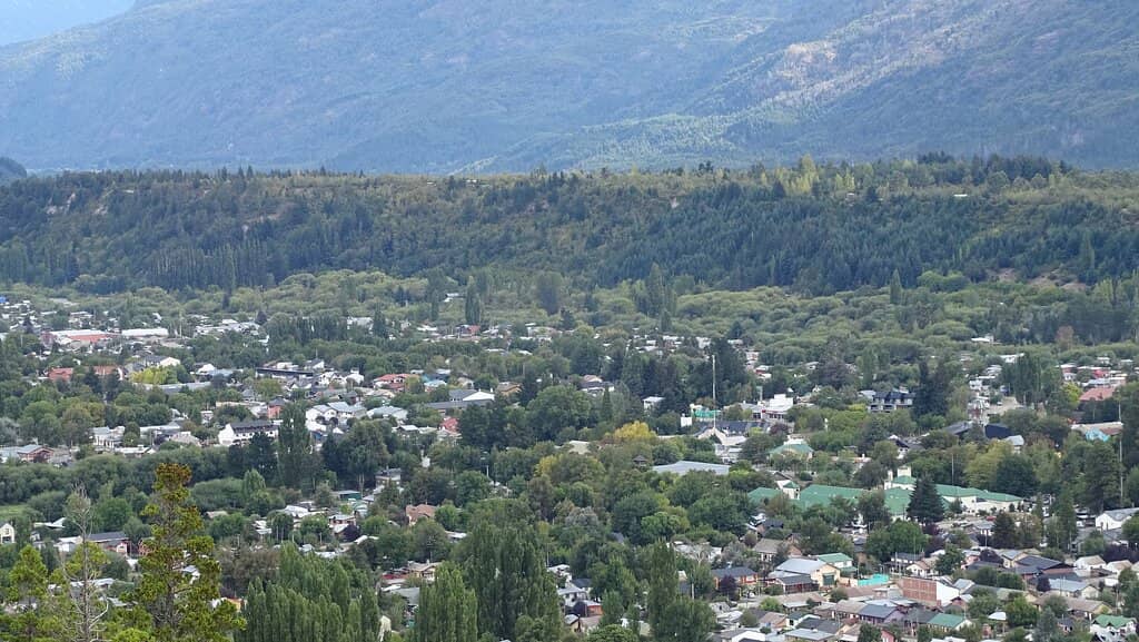 Native Forest Trails