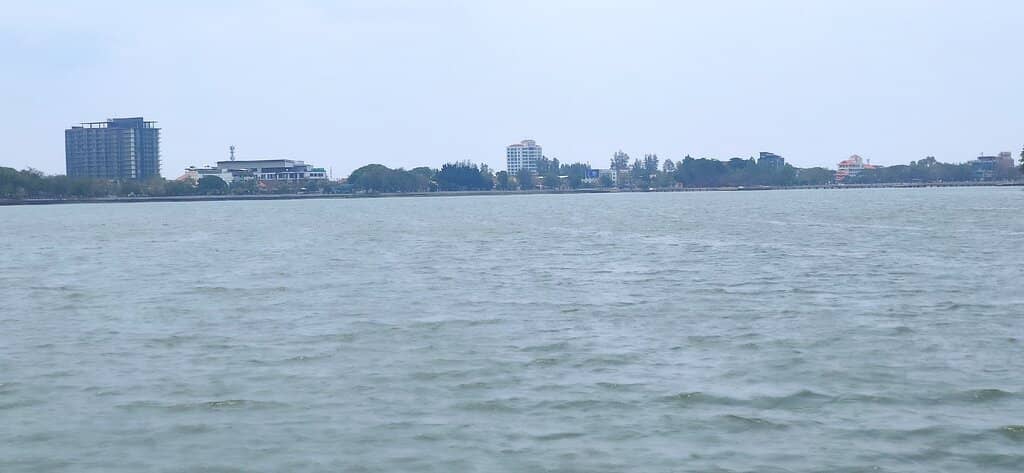 Family-Friendly Walking Paths