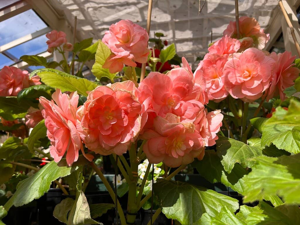 Inclusive Playground