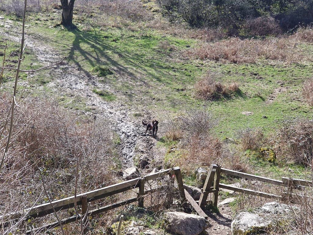 Nature Reserve Trails