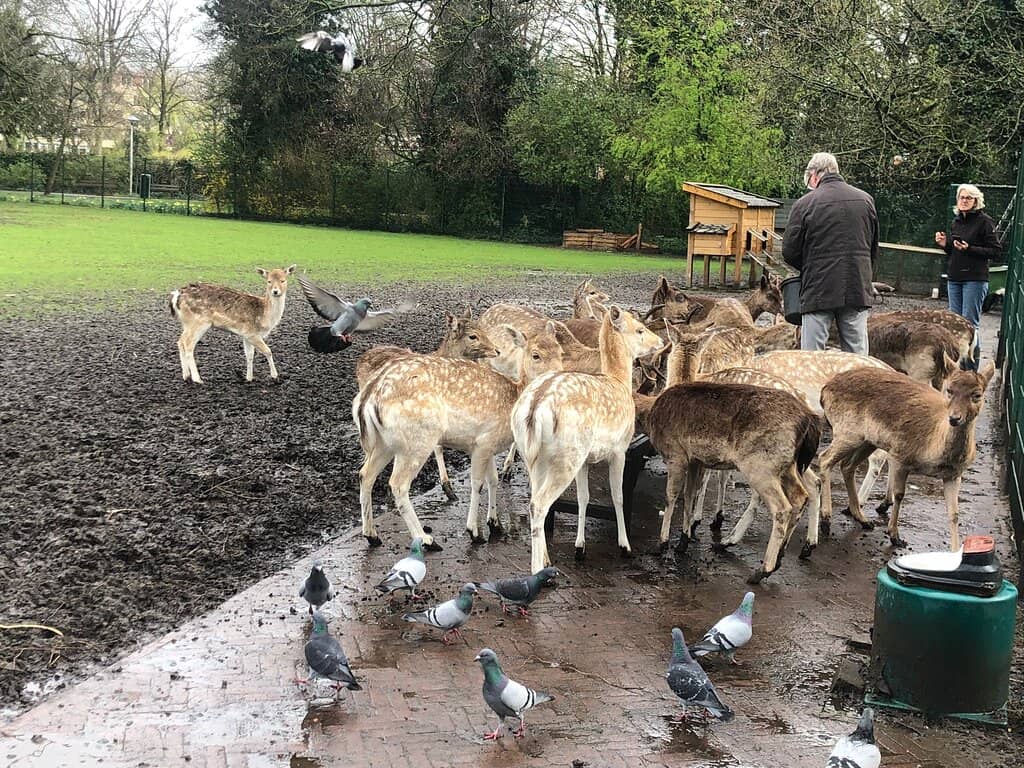 The Serene Waterside