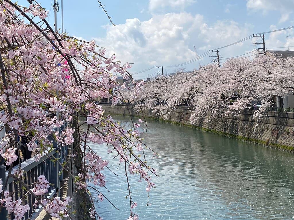 Nighttime Illumination