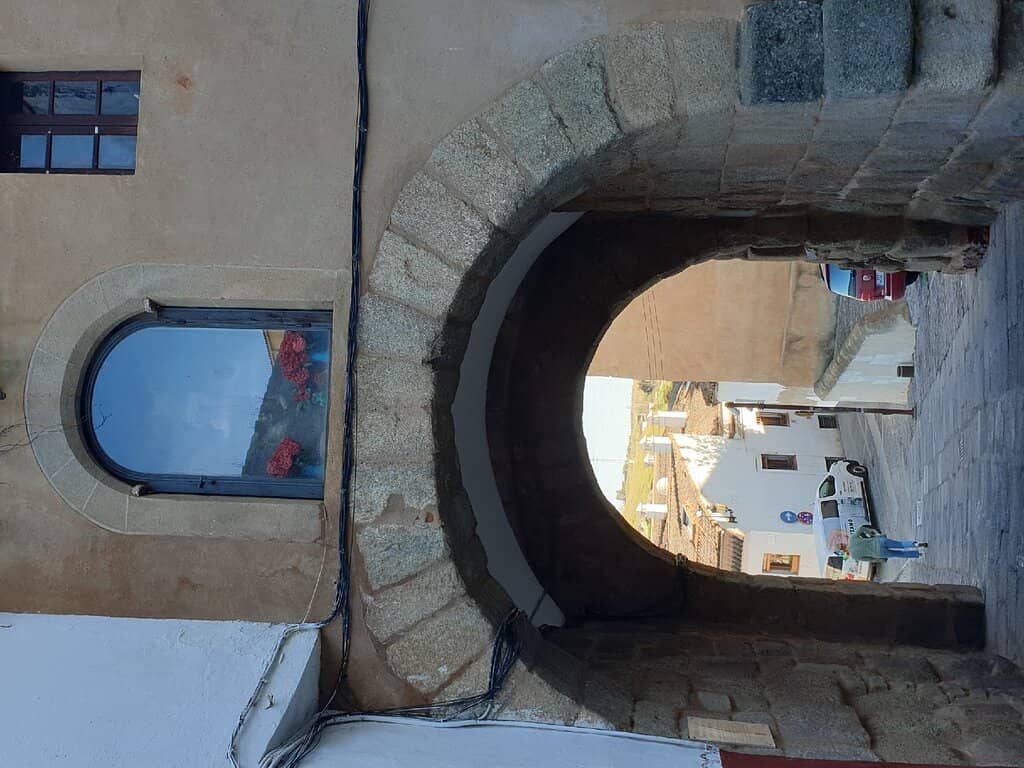 Vertical photo