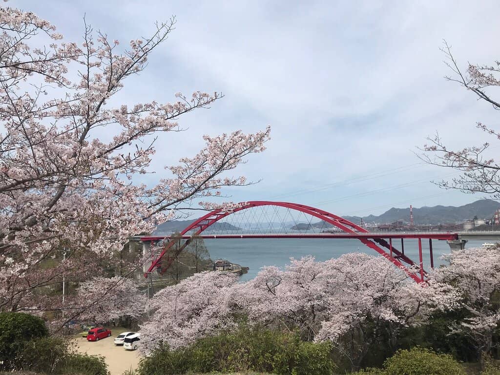 Scenic Bridges