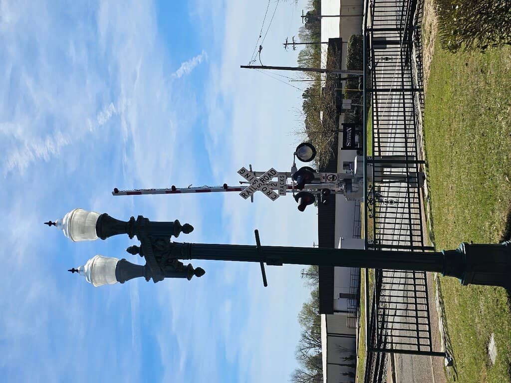 Summer Concert Series