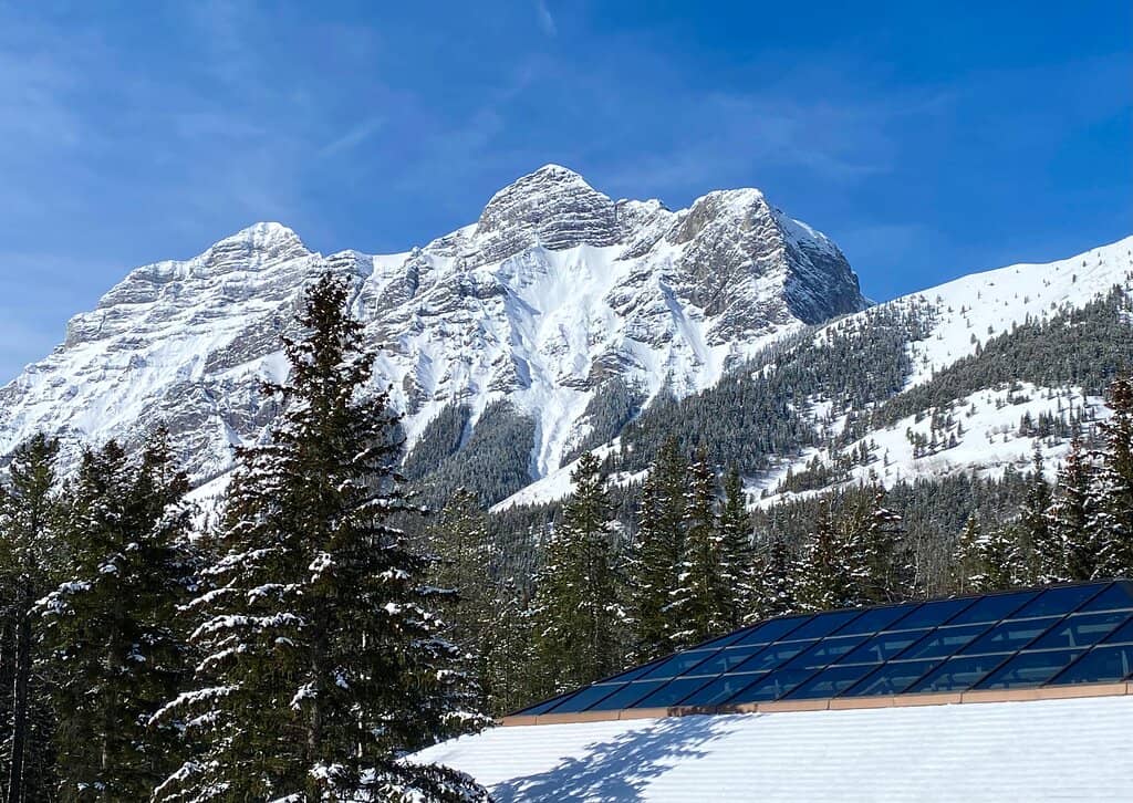 Alchemist Steam Room