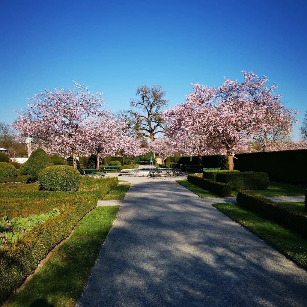 Palace Gardens