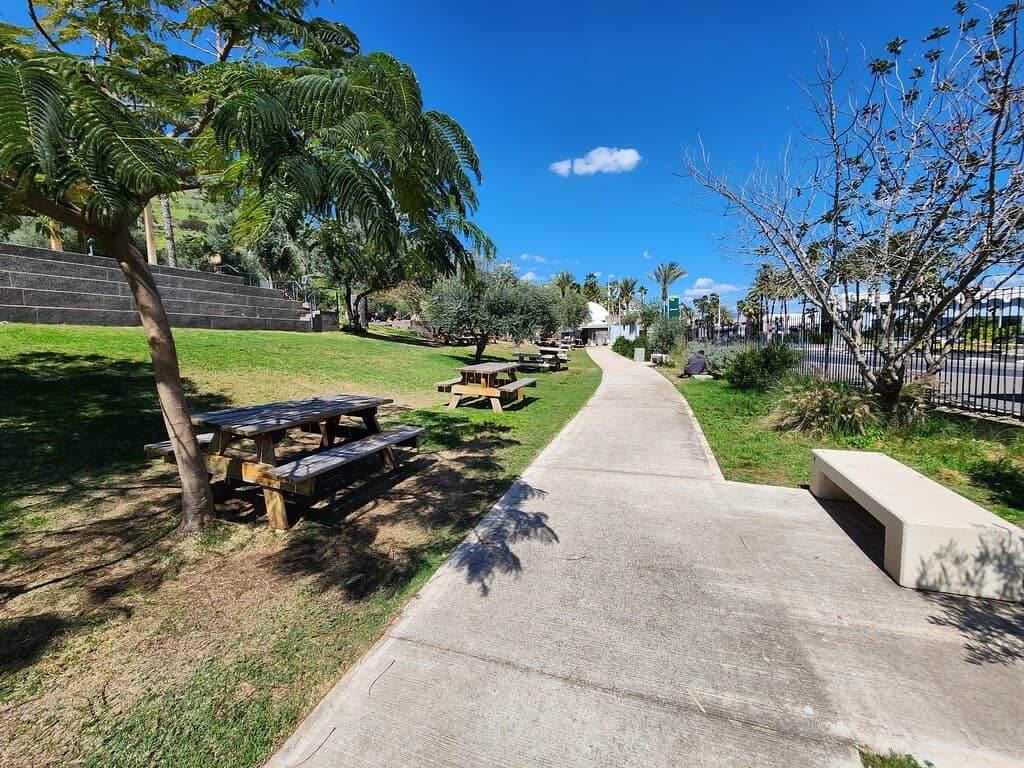 Ancient Synagogue Mosaics