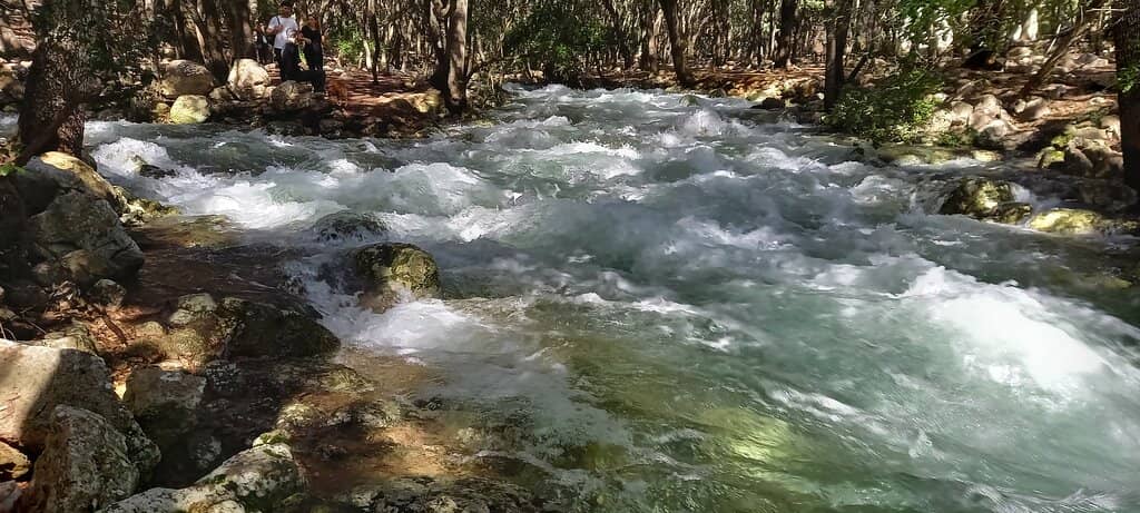 Ancient Charcoal Ovens