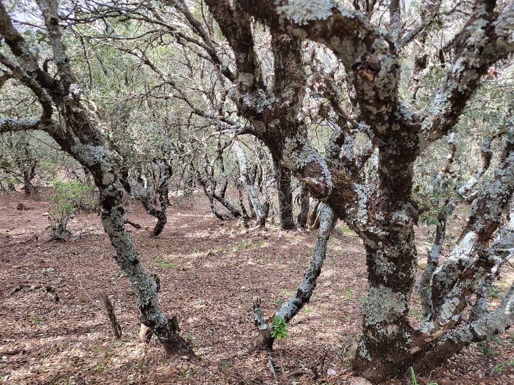 Grotte Blanche (White Cave)