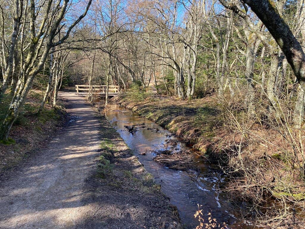 Panoramic Viewpoint Tower