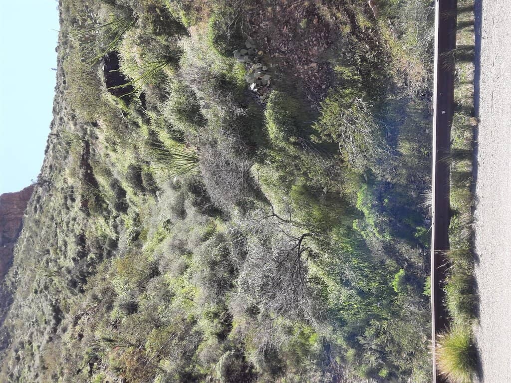 Vertical photo