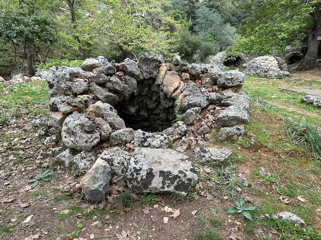 Creek and Natural Surroundings