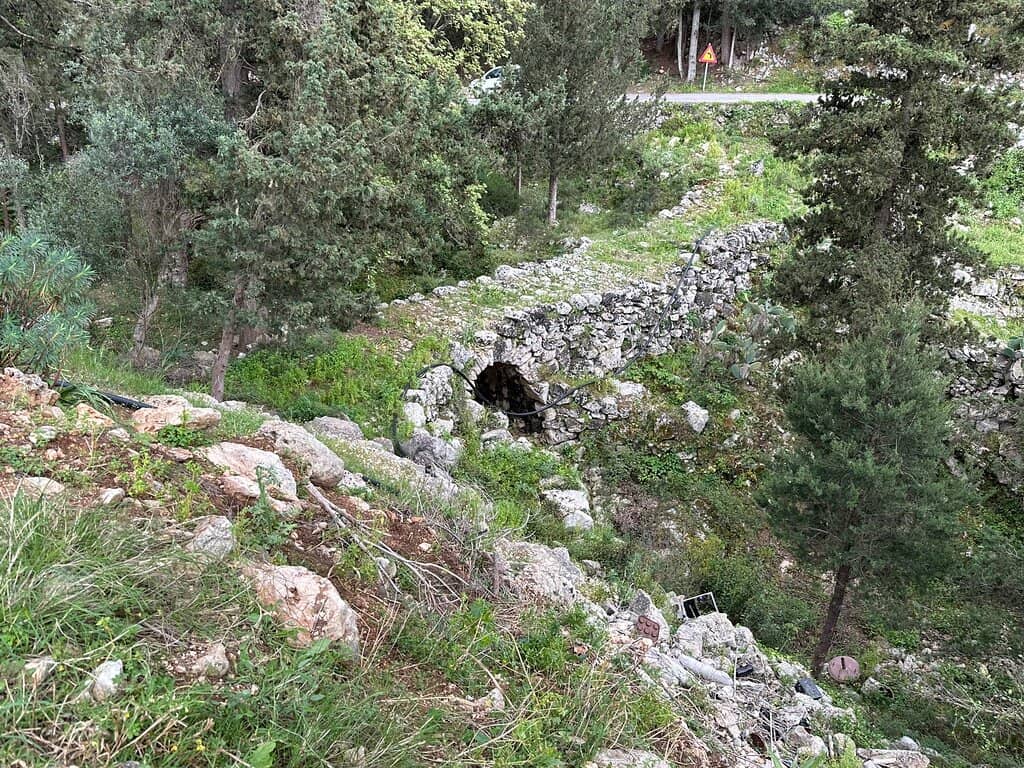 Vertical photo