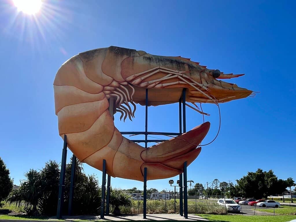Bunnings Sausage Sizzle