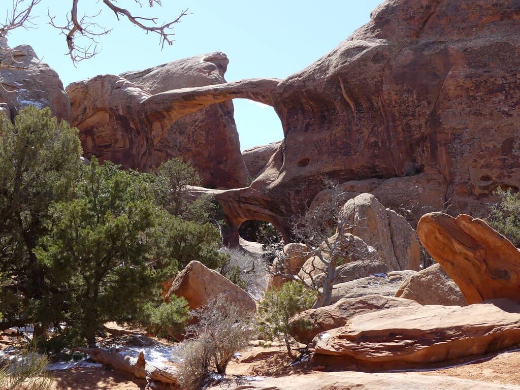 Primitive Trail Scramble