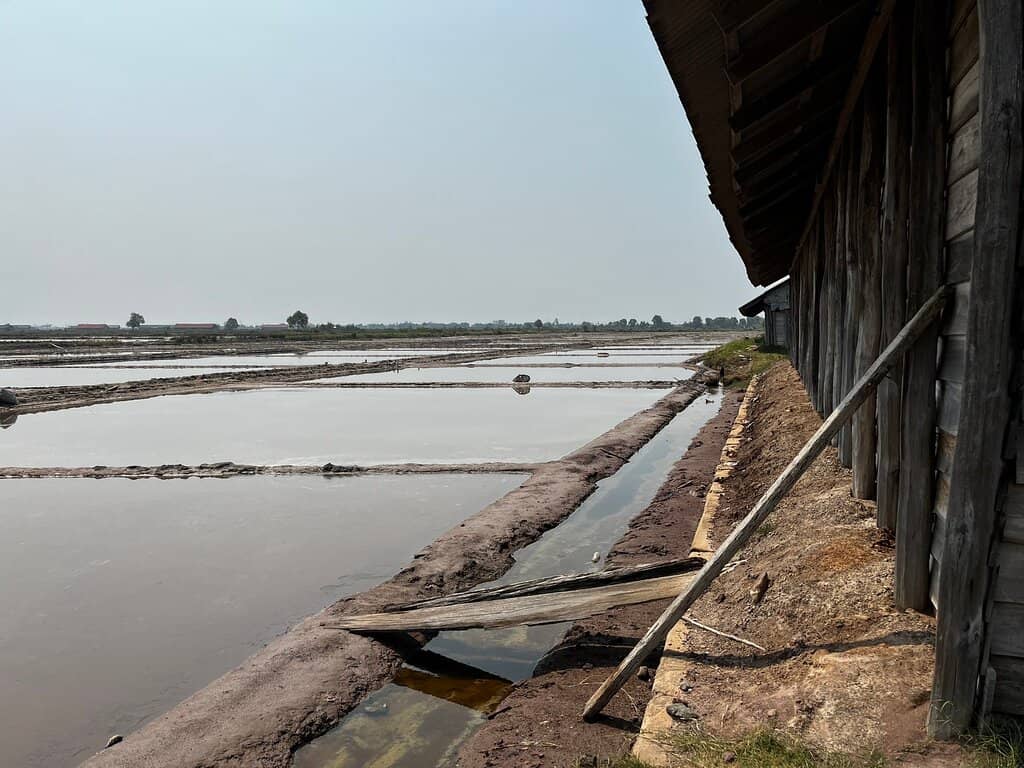 Vast Expanses of Salt Fields