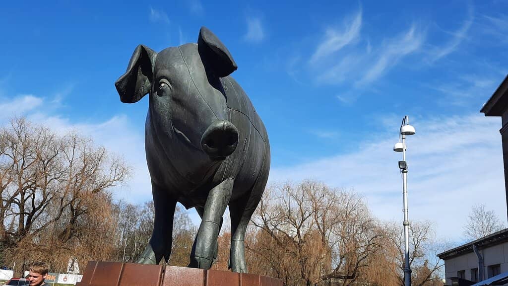 COSI Steps Paired Deer