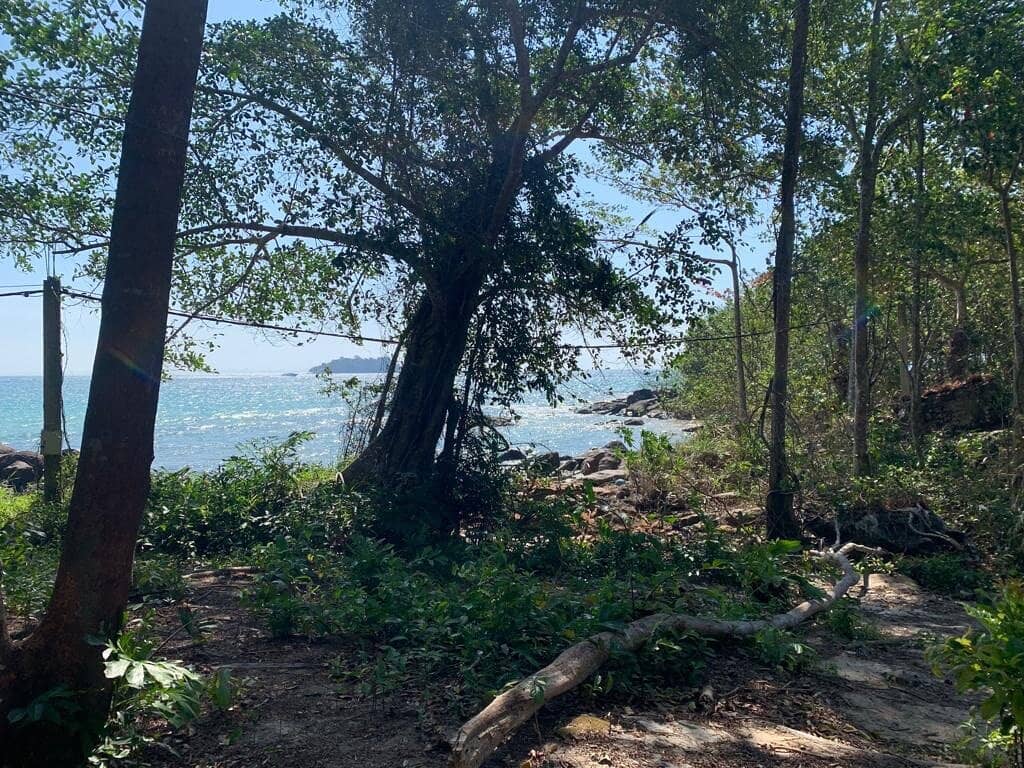 Vertical photo
