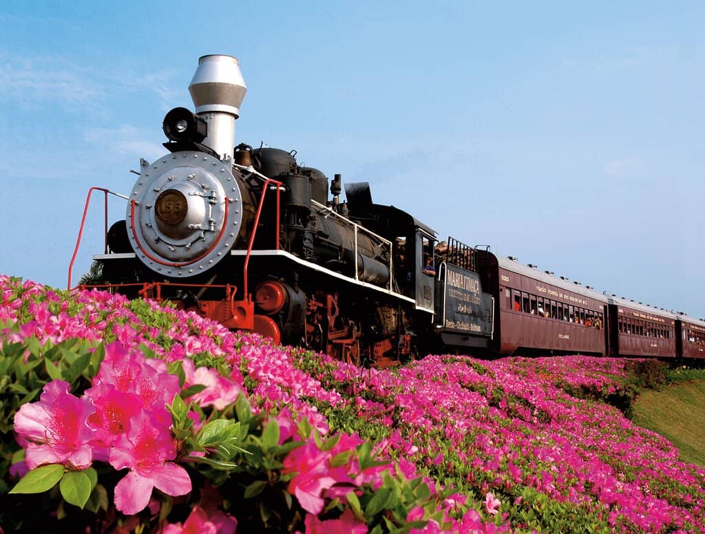 Italian-Brazilian Cultural Immersion