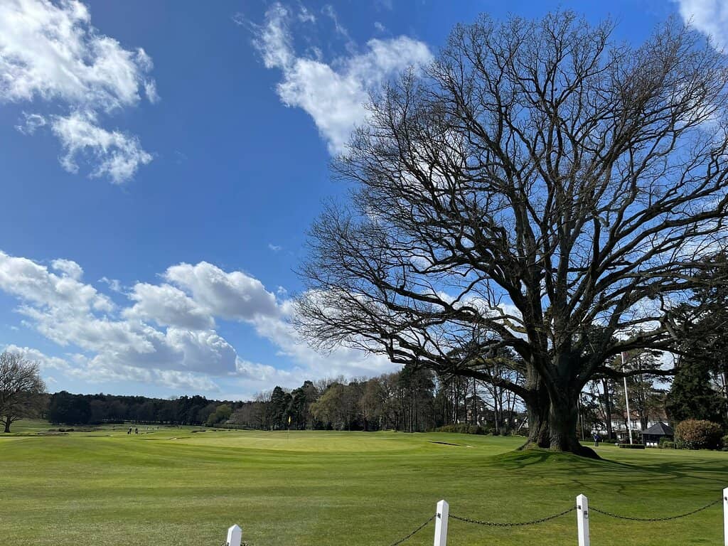 The New Course