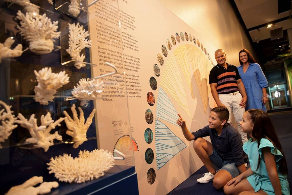 Prehistoric Predators