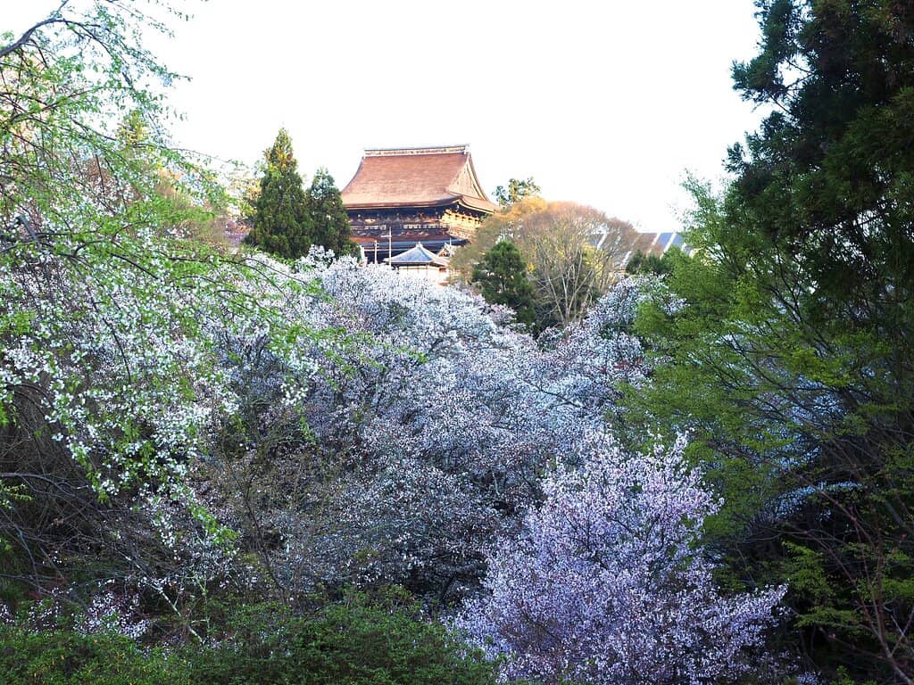 Zao-do Hall (Main Hall)