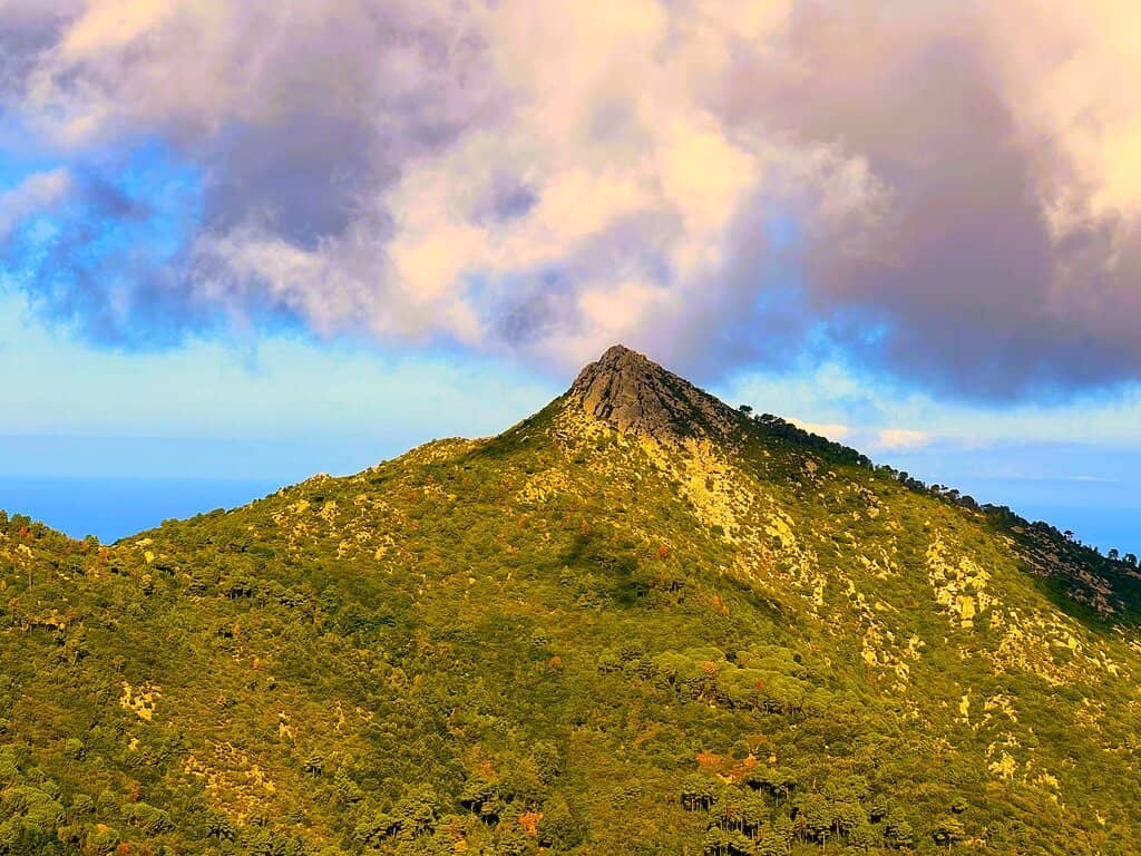 Summit Hikes