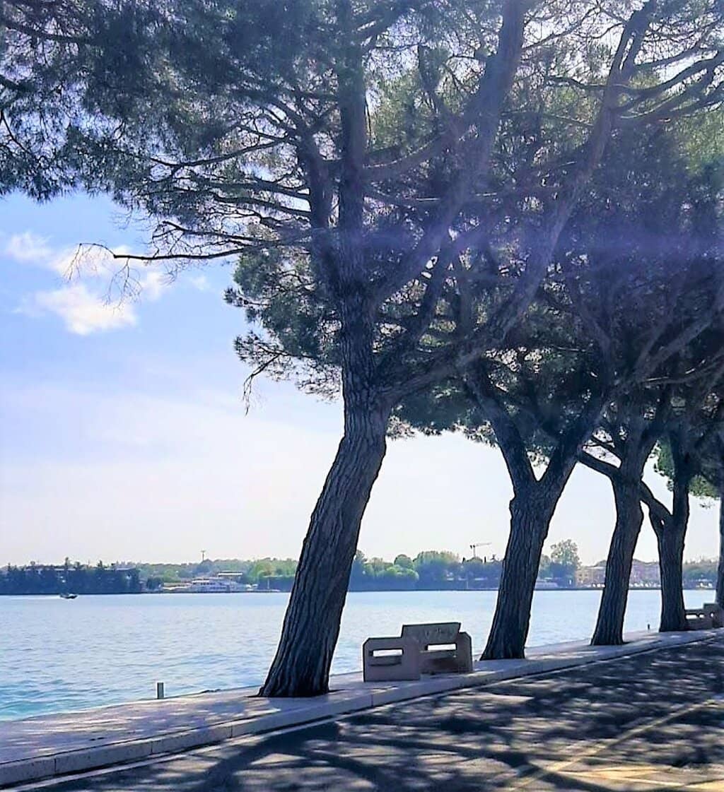 Vertical photo