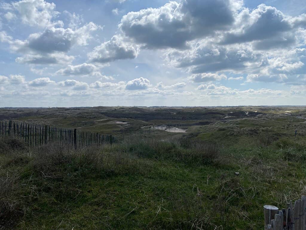 Multiple Entrance Options