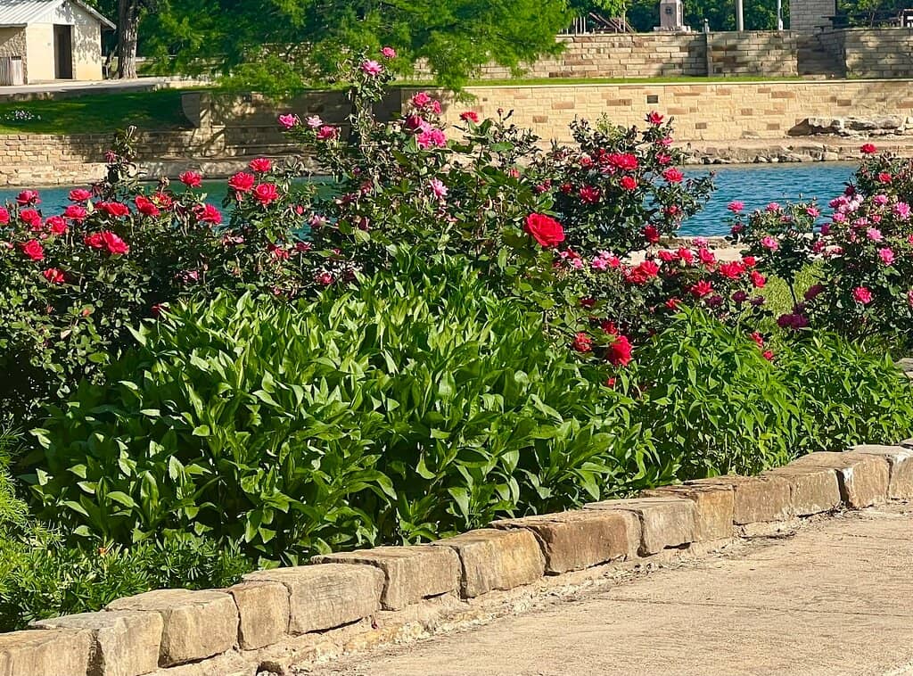 Harlem River Waterfront