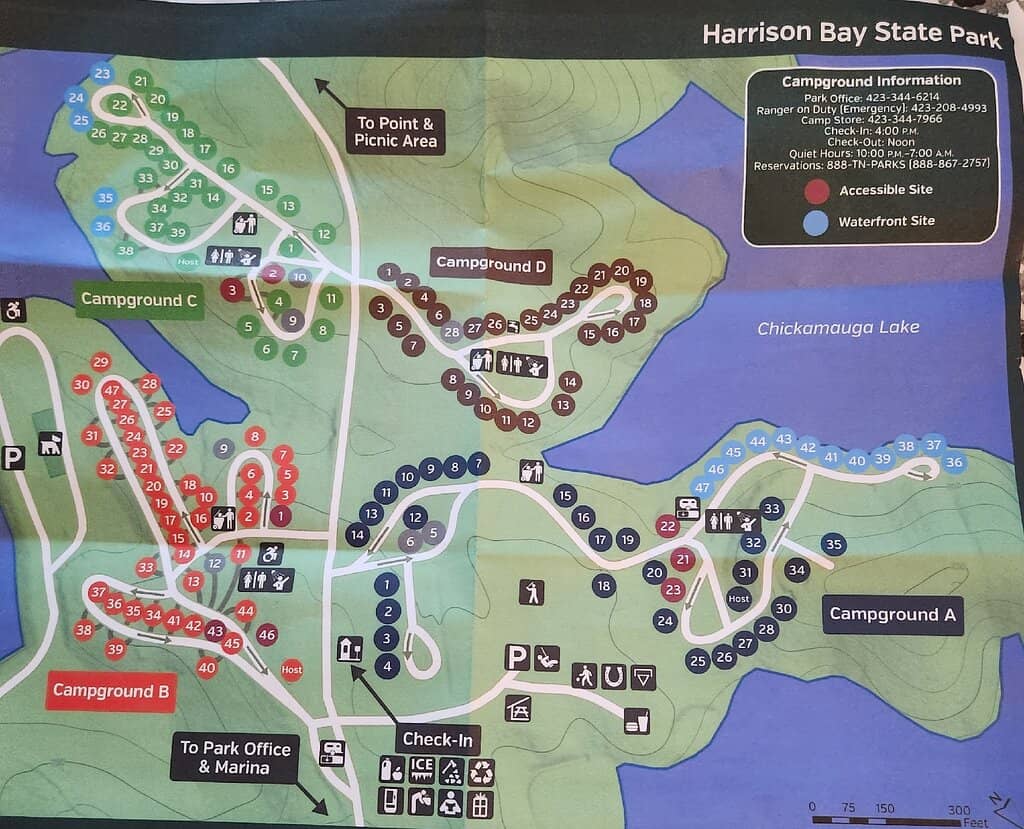 Star Gazing Opportunities