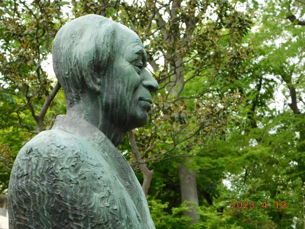 Botanist's Illustrations