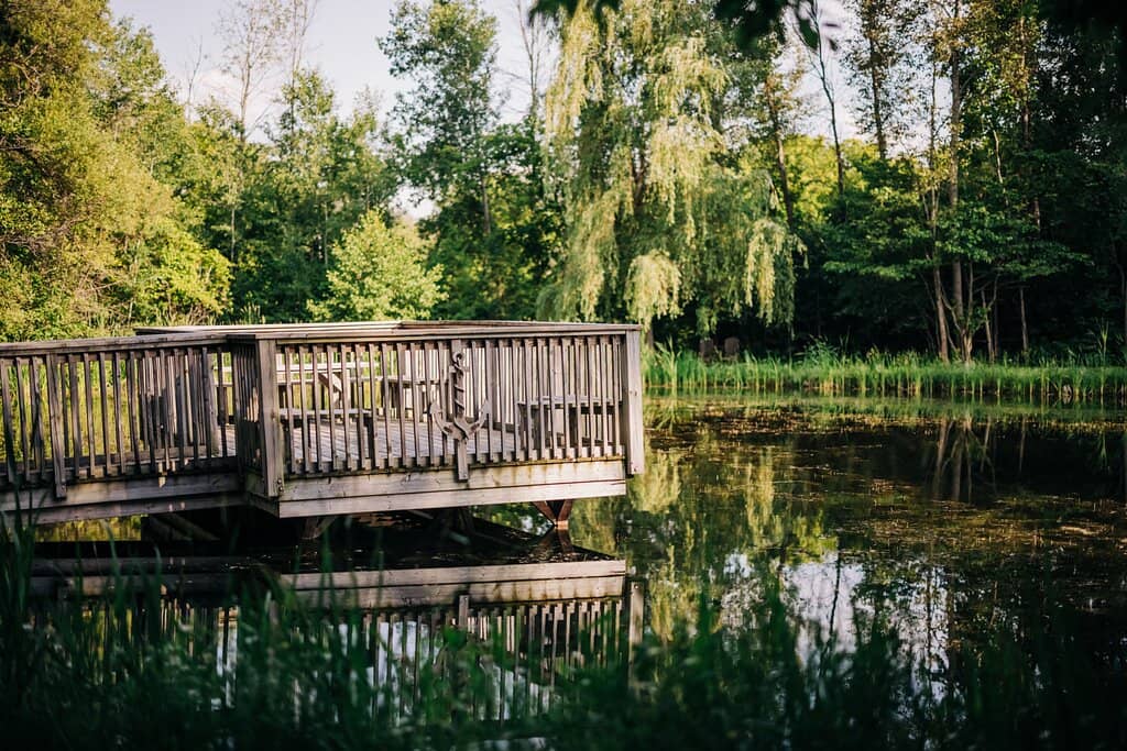 Picturesque Vineyard Views