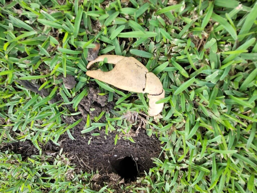 Wetlands and Mangrove Trails