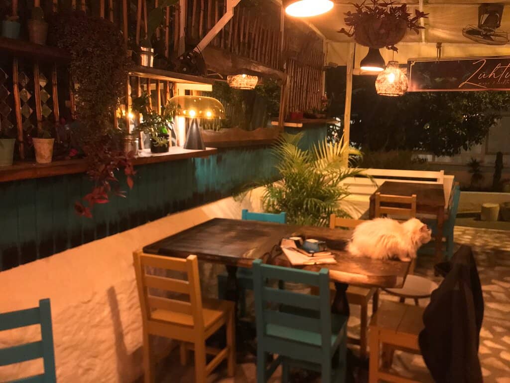Vibrant Atmosphere